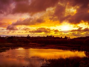 Lough Waskel sunrise