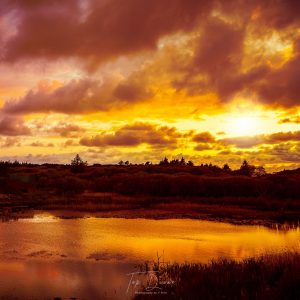 Lough Waskel sunrise