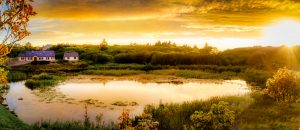 Golden sunset over lough waskel