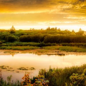 Golden sunset over lough waskel