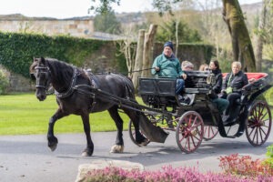 Lough Eske horse drawn carriage