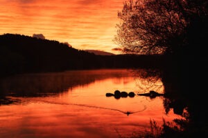 beautiful red gold sunrise over lough waskel